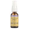 HONEY GARDENS Apiaries Propolis Spray - 1 Oz #