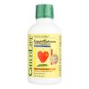 CHILDLIFE Essentials  Liquid Calcium With Magnesium Natural Orange - 16 Fl Oz #
