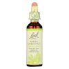 BACH Flower Remedies Essence White Chestnut - 0.7 Fl Oz #