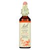 BACH Flower Remedies Essence Cherry Plum - 0.7 Fl Oz#