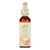 BACH Flower Remedies Essence Cherry Plum - 0.7 Fl Oz#