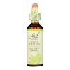 BACH Flower Remedies Essence White Chestnut - 0.7 Fl Oz #