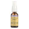 HONEY GARDENS Apiaries Propolis Spray - 1 Oz #