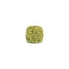 Fennel Seed , Organic