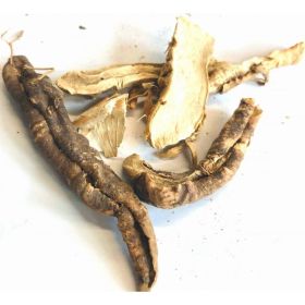 Orris Root (Option: P-67)